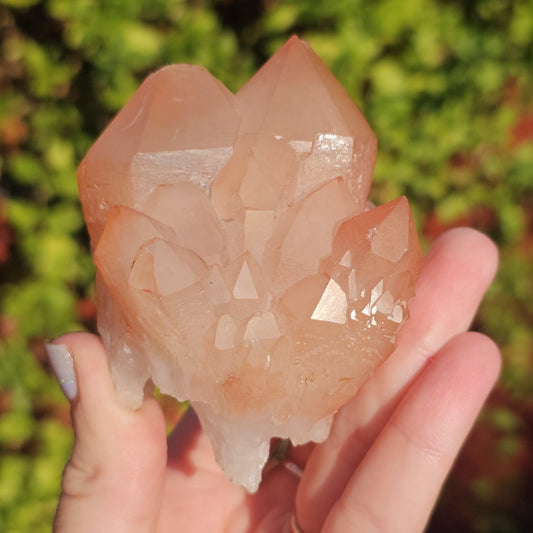 Chunky Peach Pink Elestial Quartz Specimen: Scepter, Multi Terminated, Raw Rough Quartz