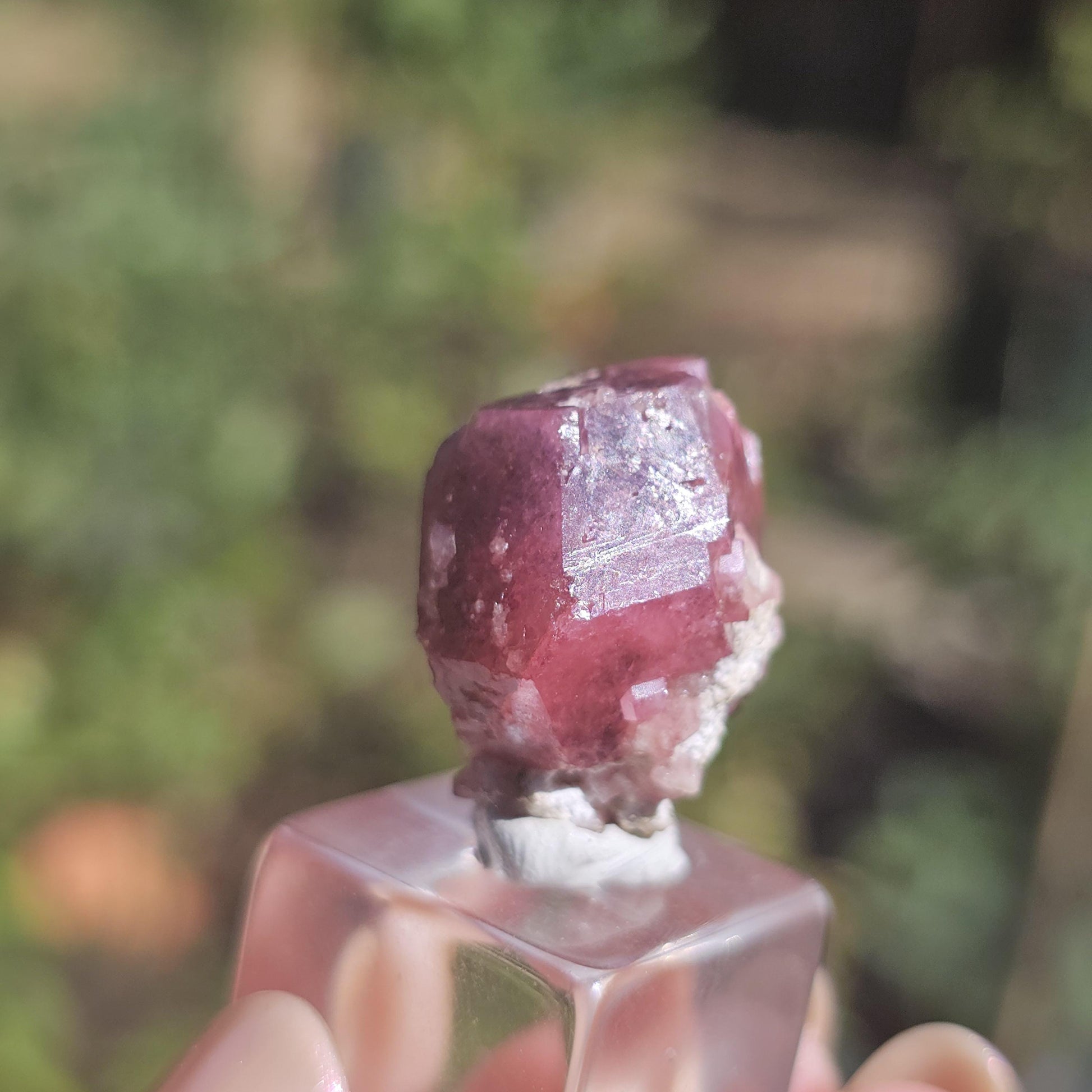 Raspberry Garnet from Sierra de Cruces, Mexico, Rare Dark Purple Pink Grossular Garnet Floater Specimen