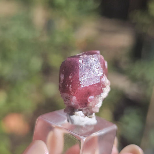 Raspberry Garnet from Sierra de Cruces, Mexico, Rare Dark Purple Pink Grossular Garnet Floater Specimen