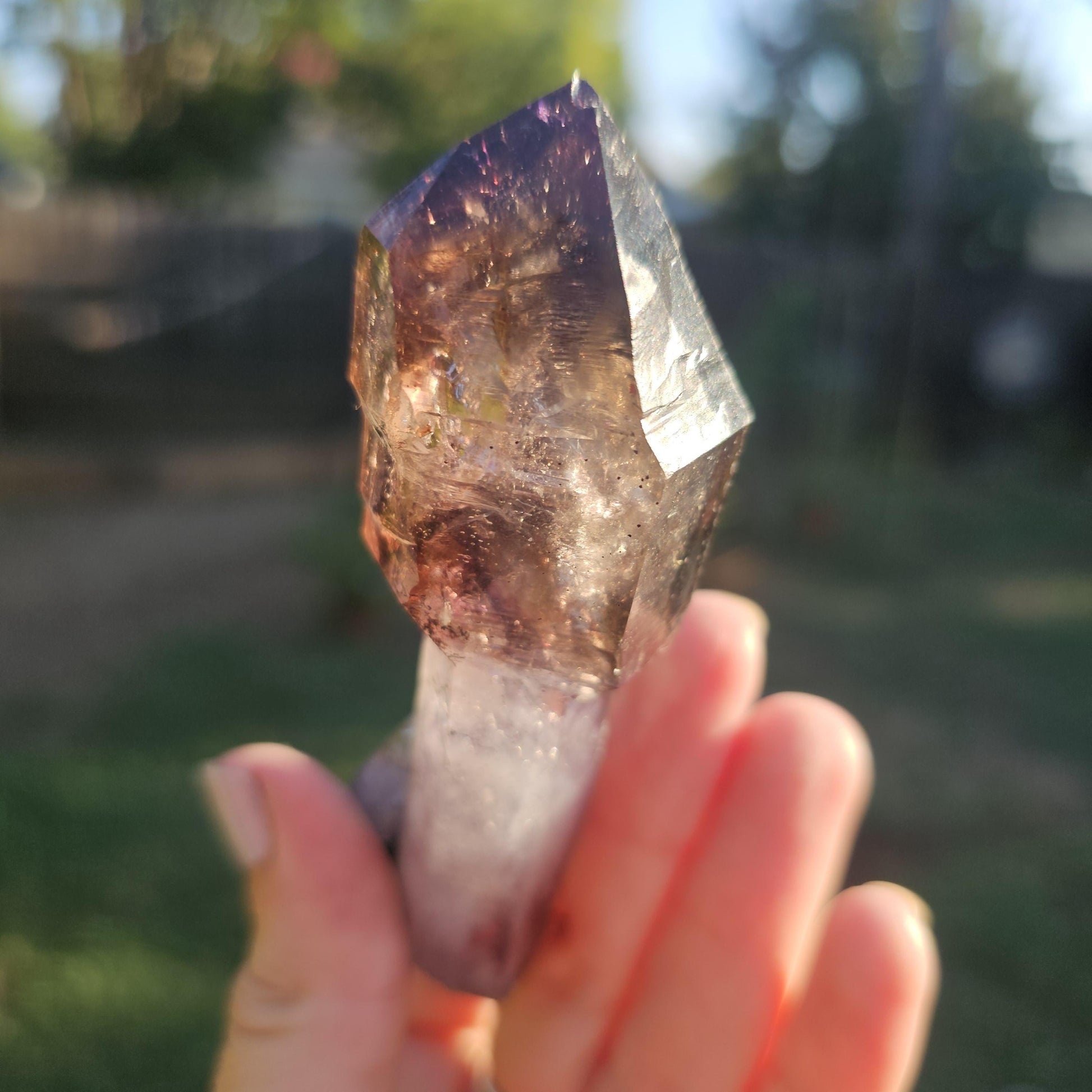 Shangaan Amethyst Scepter, Dendrites, Hematite Inclusions, Zimbabwe
