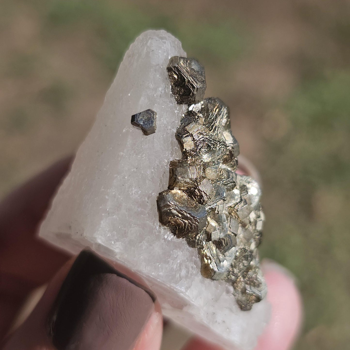 Calcite with Pyrite Crystals from Mexico, Single Terminated Sugary White Calcite with Clusters of Pyrite