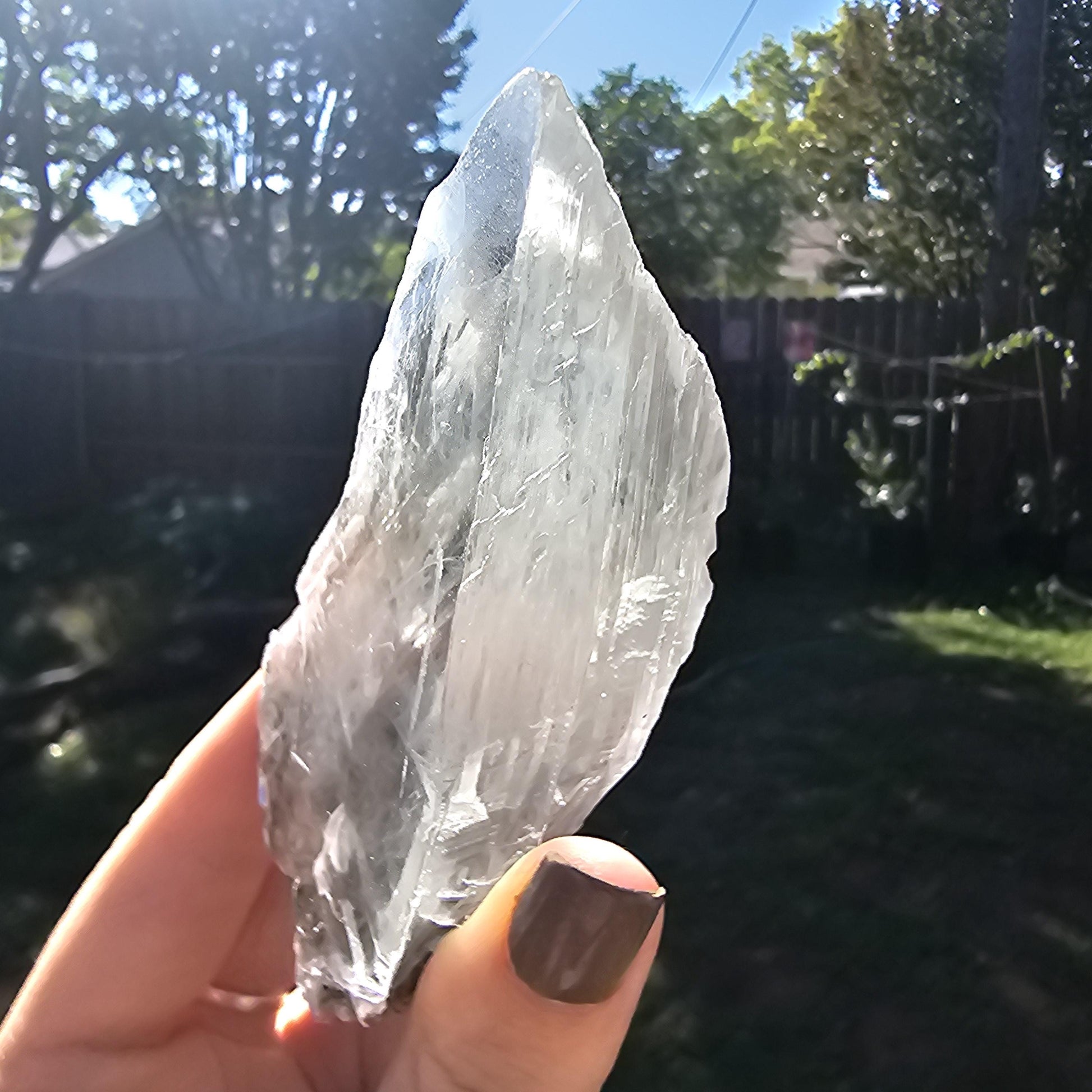 Terminated AAA Selenite Crystal from the Naica Mine in Mexico | Water Clear, Rare Collector Mineral Specimen, Self-standing, Raw & Untreated