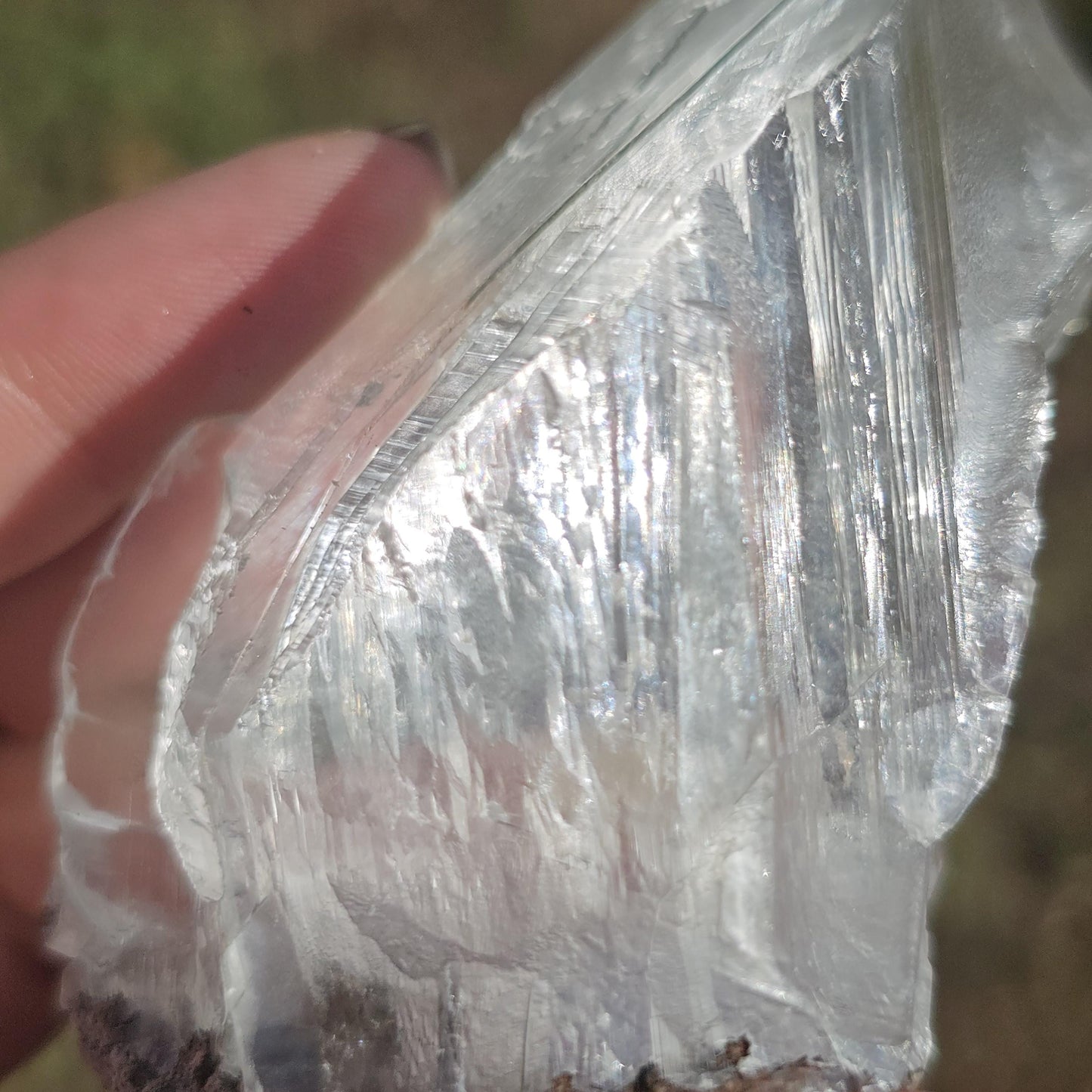 Terminated AAA Selenite Crystal from the Naica Mine in Mexico | Water Clear, Rare Collector Mineral Specimen, Self-standing, Raw & Untreated