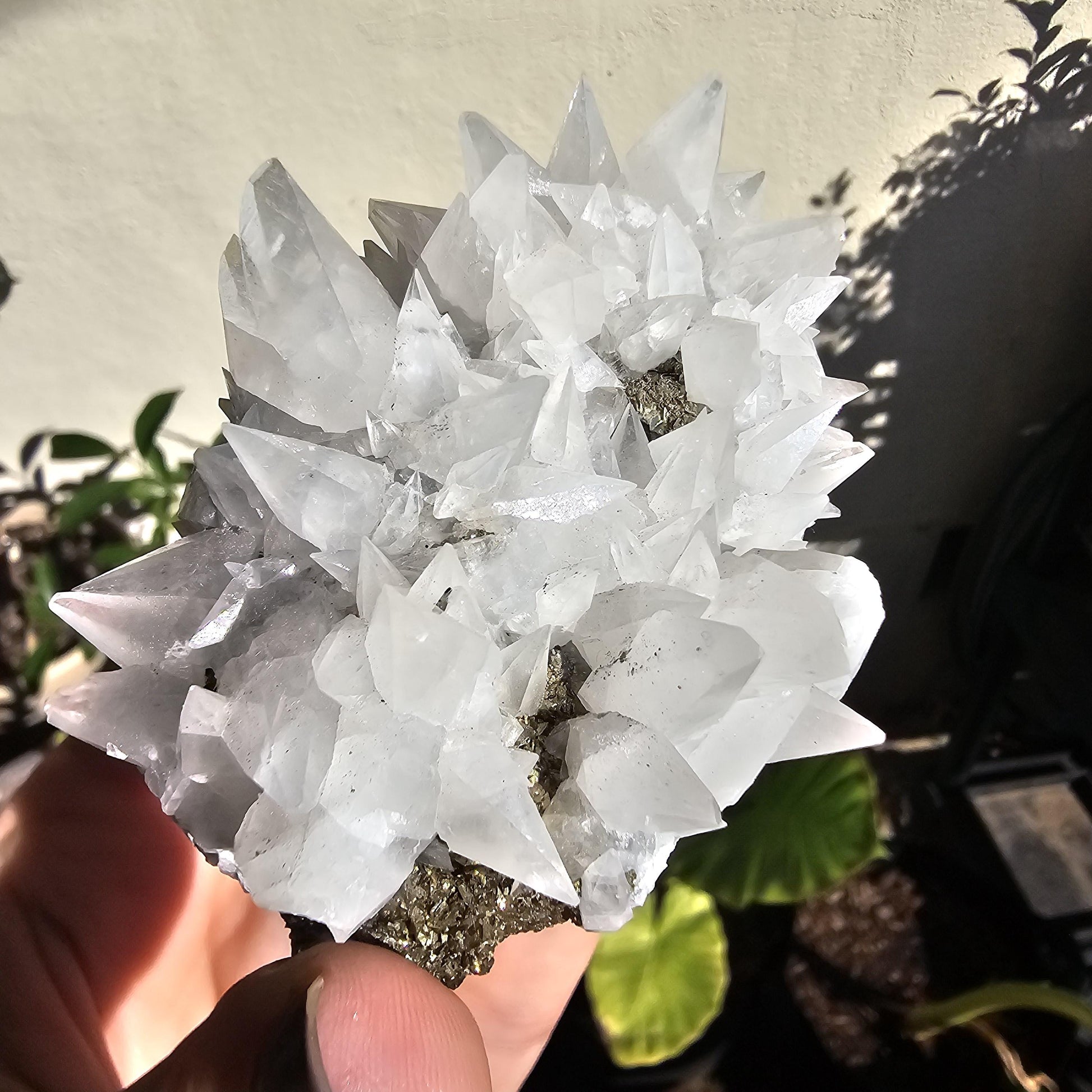 Snow White Calcite Specimen: Pyrite & Hematite Base, Chihuahua Mexico