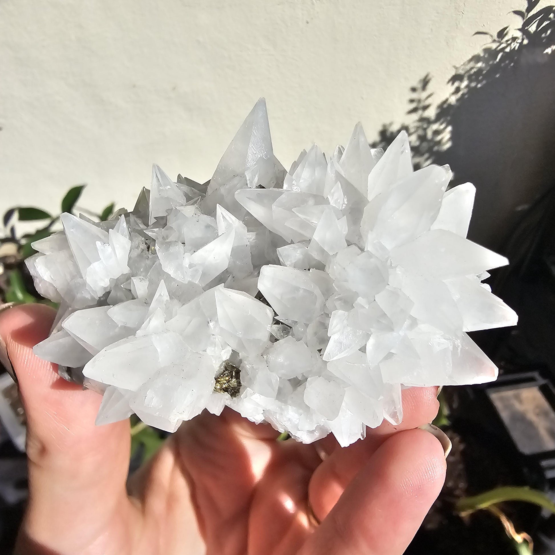 Snow White Calcite Specimen: Pyrite & Hematite Base, Chihuahua Mexico