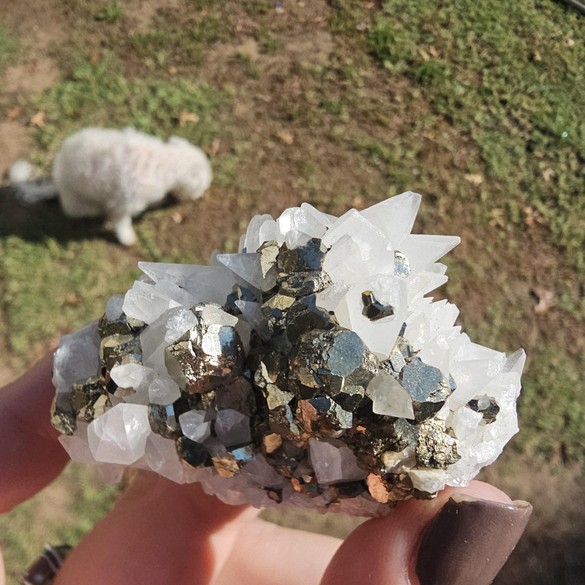 Snowy Calcite with Pyrite Crystals, Chihuahua Mexico, Self-Standing