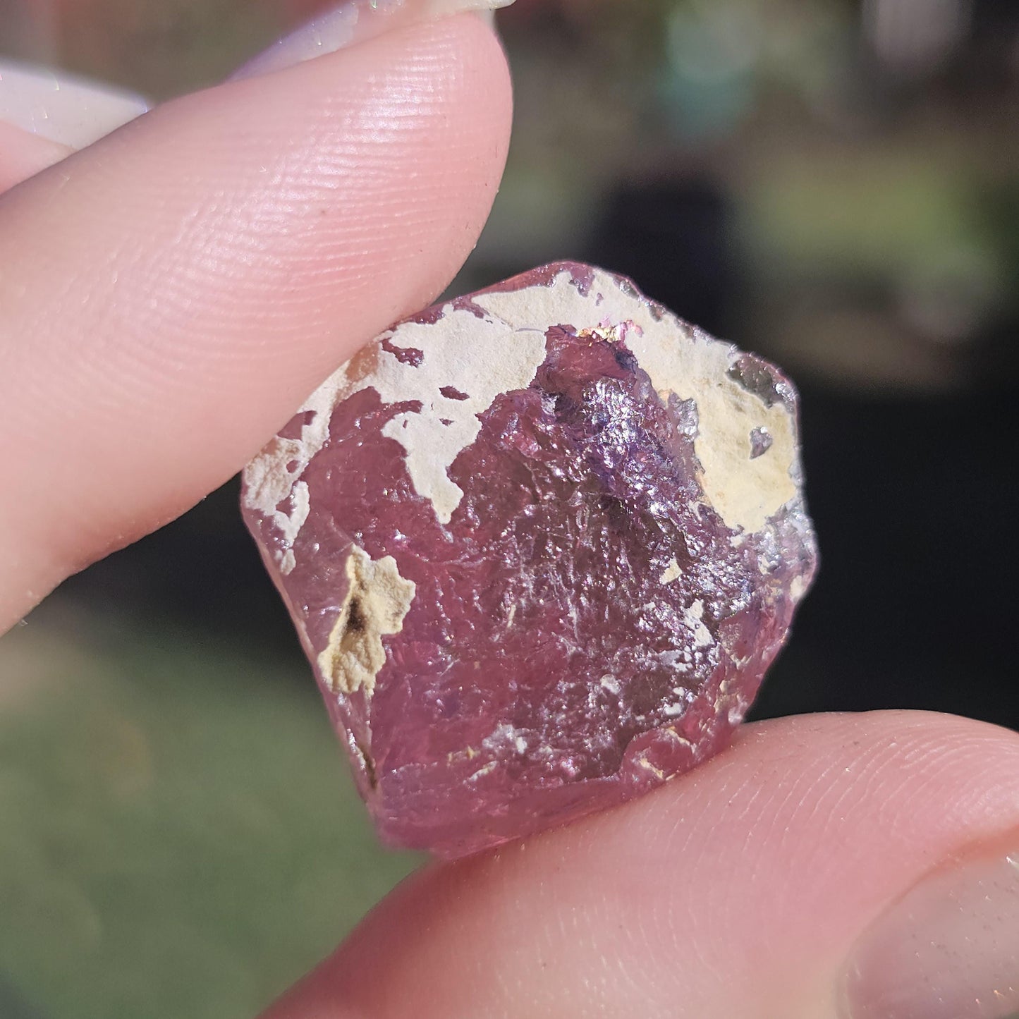 Pink Rubellite Tourmaline Crystal, Himalaya Mine, Oceanview San Diego