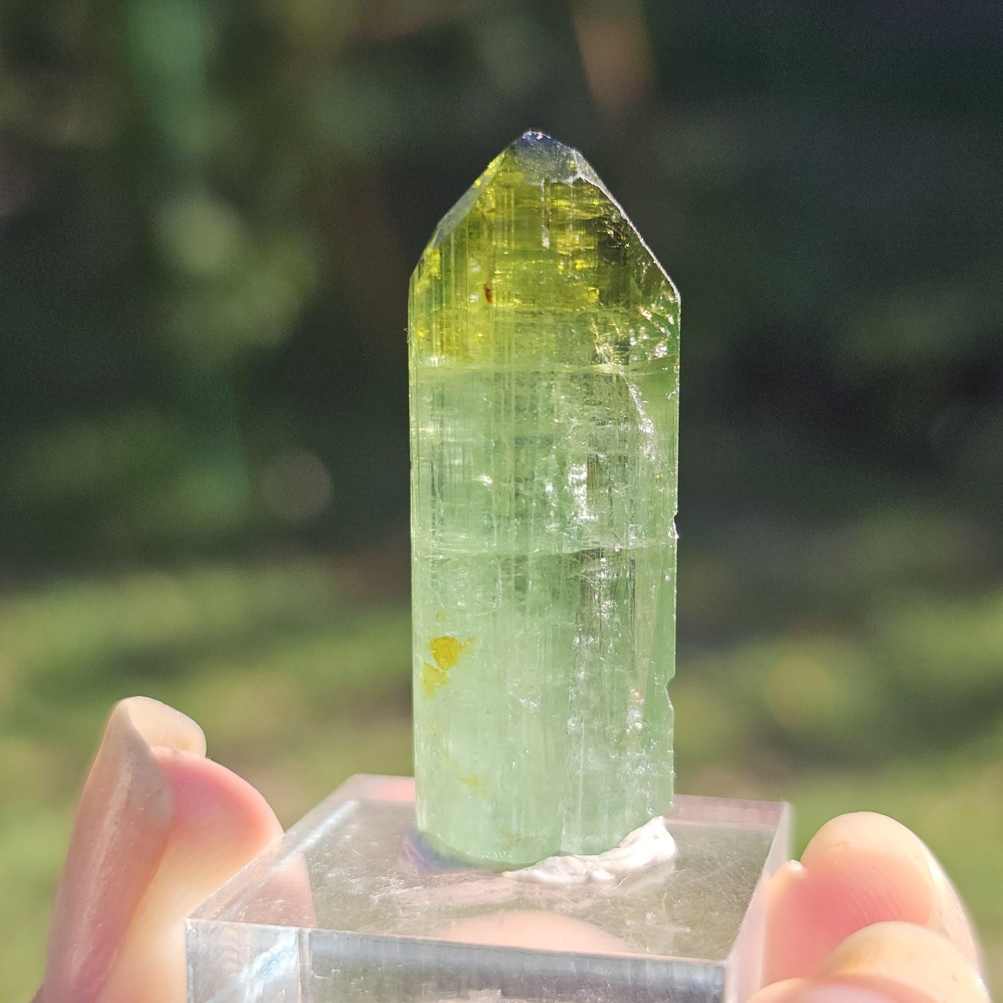 Fairy Castle Elbaite ~ Self-Standing DRC Teal Blue w Green Cap, Rare Raw Tourmaline Collector Specimen w Pointed Termination