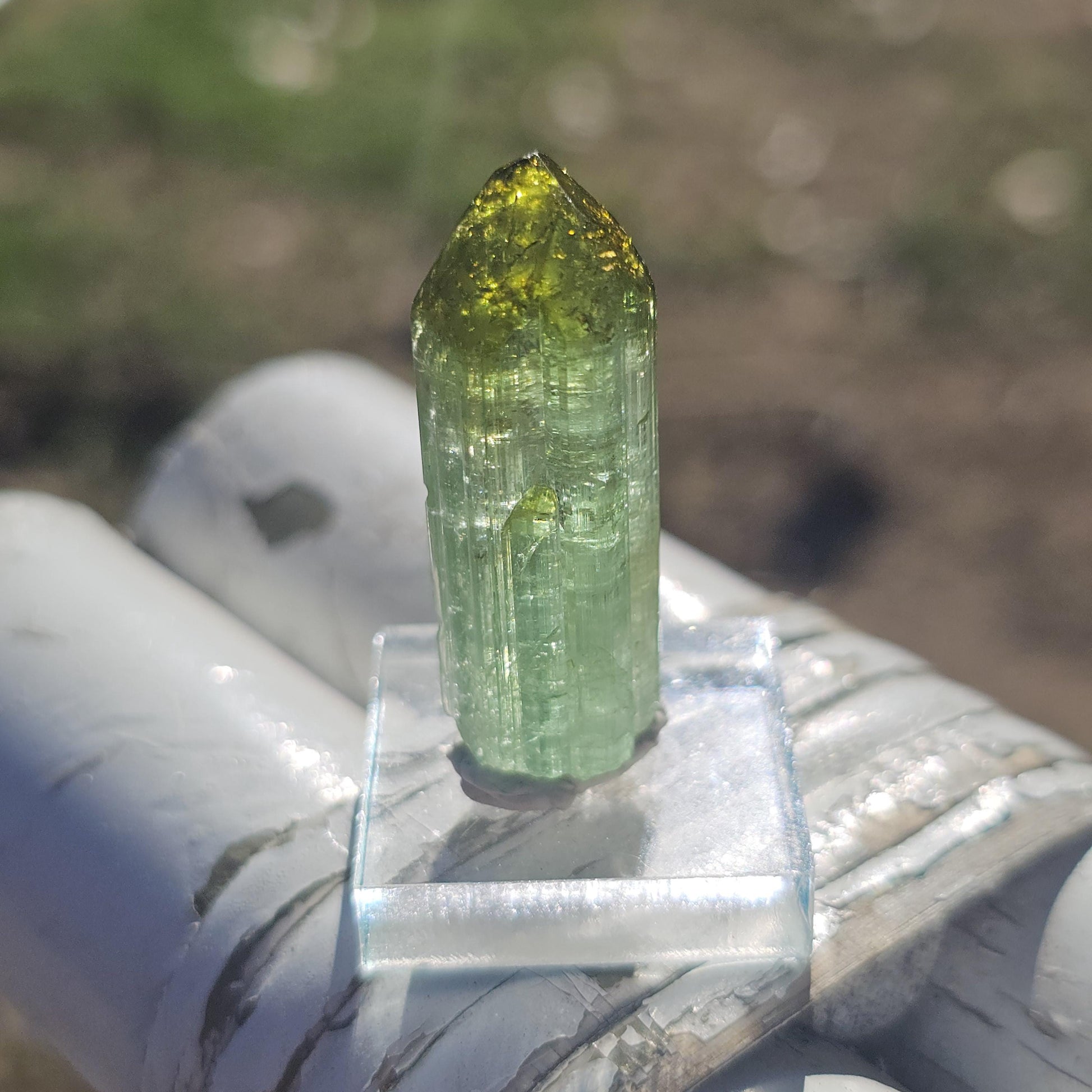 Fairy Castle Elbaite ~ Self-Standing DRC Teal Blue w Green Cap, Rare Raw Tourmaline Collector Specimen w Pointed Termination