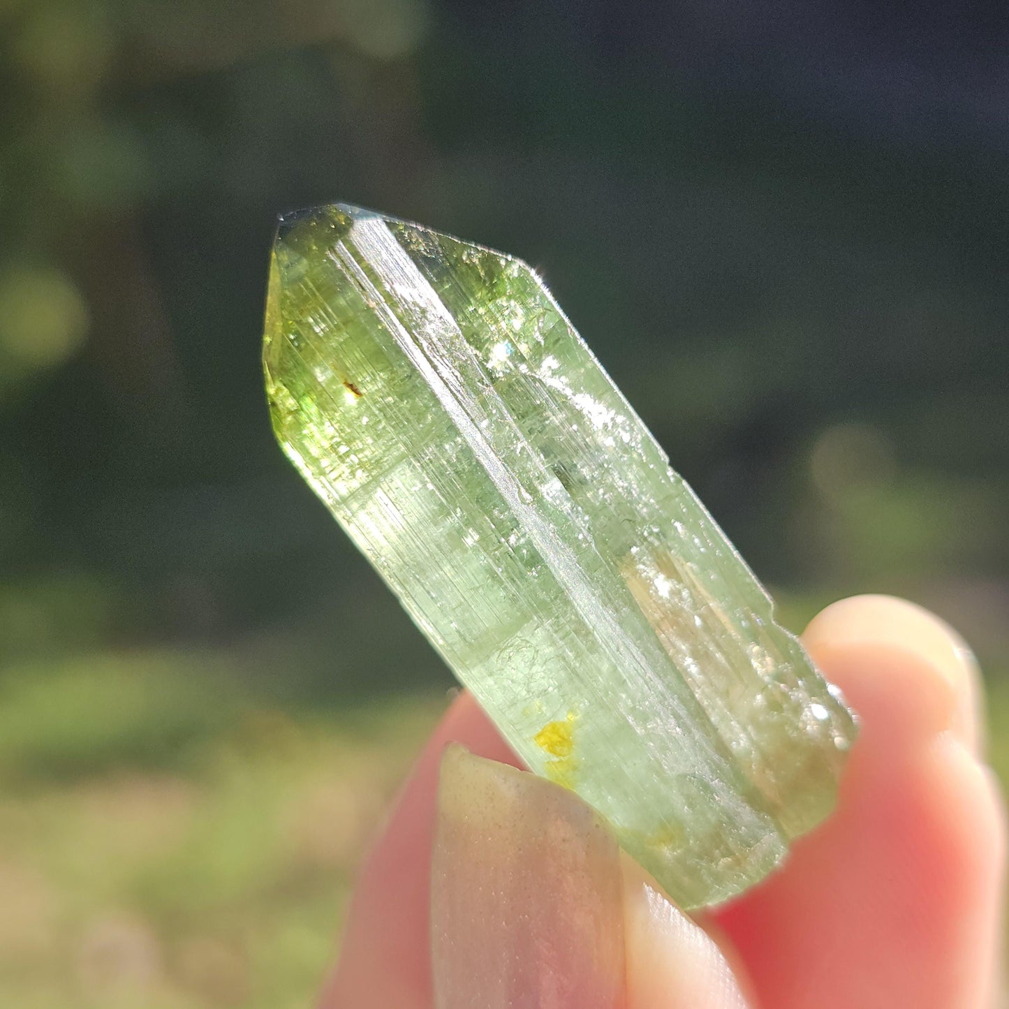 Fairy Castle Elbaite ~ Self-Standing DRC Teal Blue w Green Cap, Rare Raw Tourmaline Collector Specimen w Pointed Termination