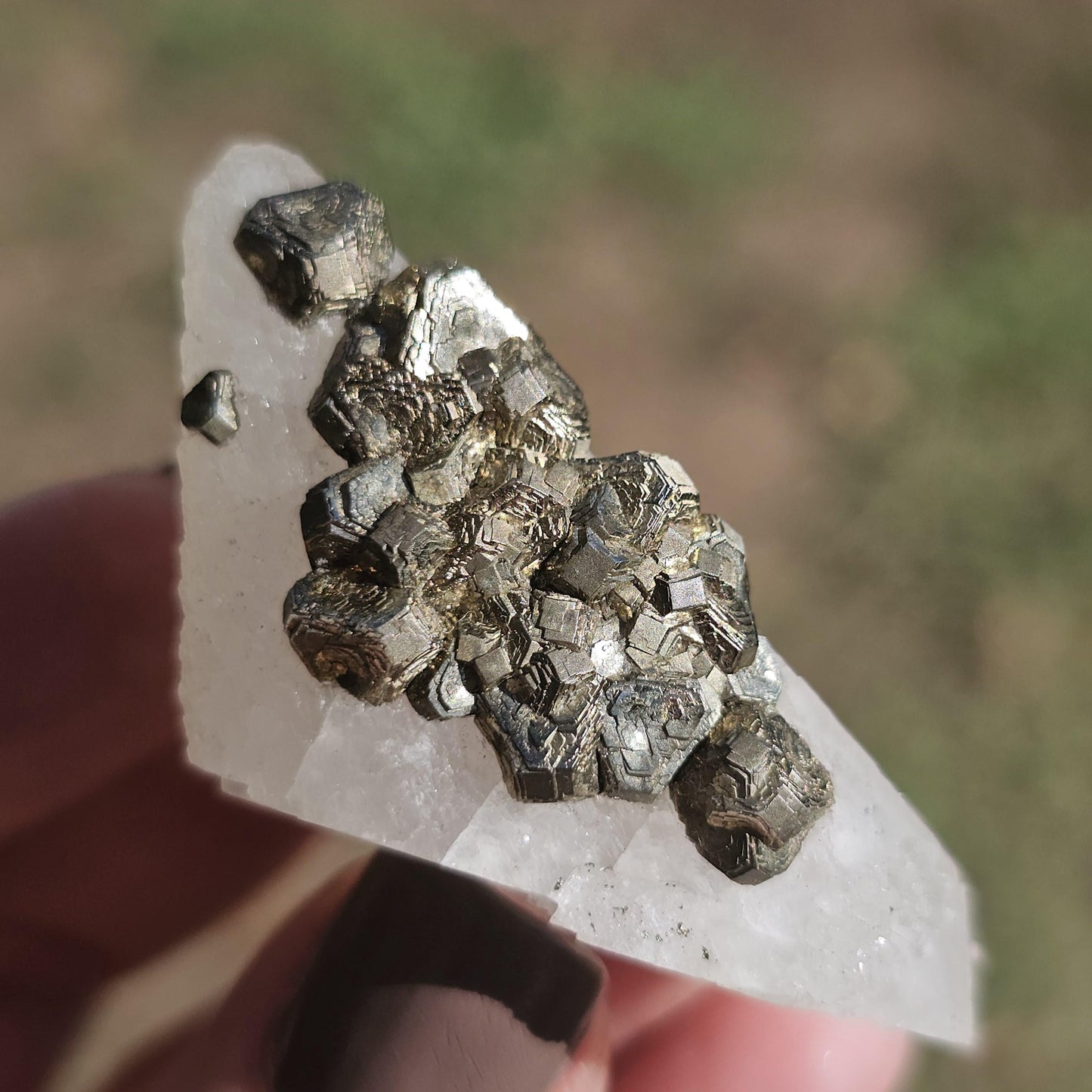 Calcite with Pyrite Crystals from Mexico, Single Terminated Sugary White Calcite with Clusters of Pyrite