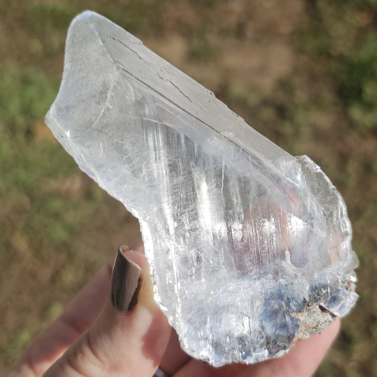 Terminated AAA Selenite Crystal from the Naica Mine in Mexico | Water Clear, Rare Collector Mineral Specimen, Self-standing, Raw & Untreated