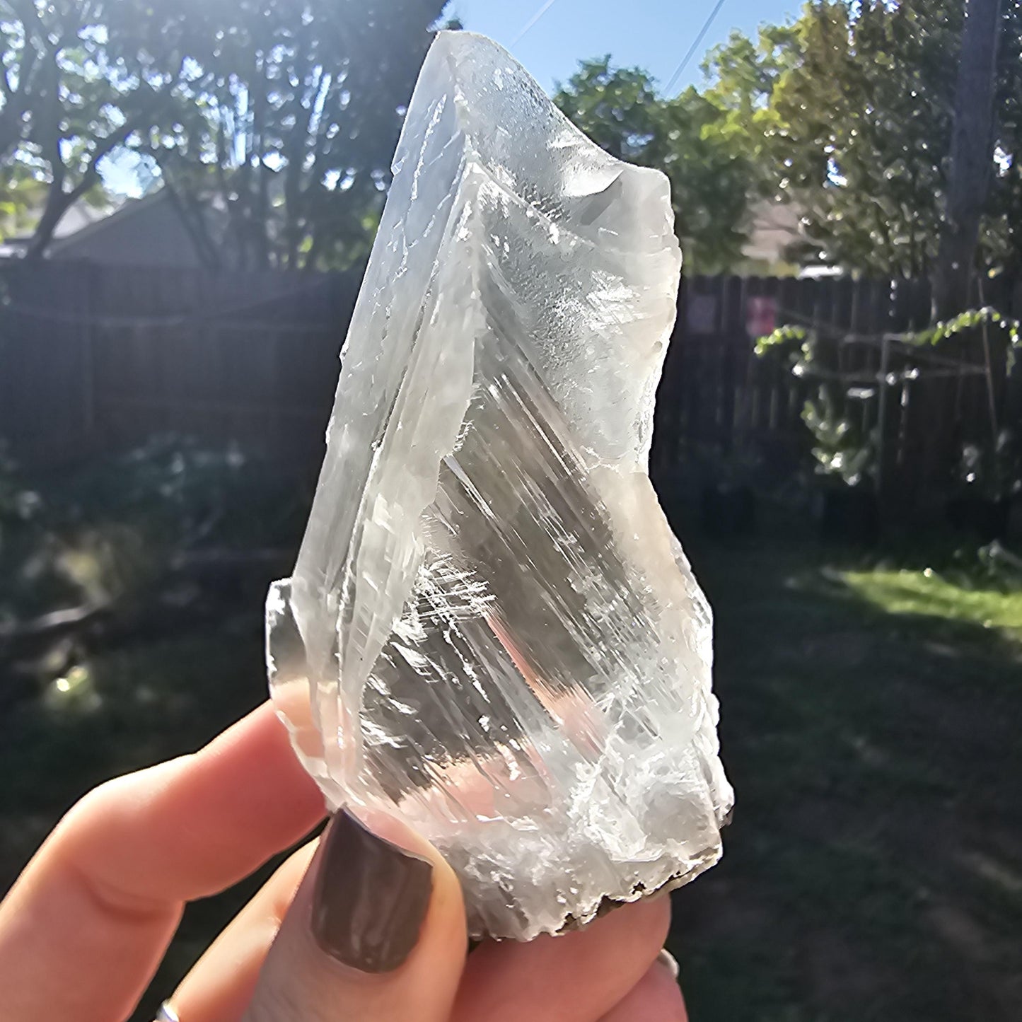 Terminated AAA Selenite Crystal from the Naica Mine in Mexico | Water Clear, Rare Collector Mineral Specimen, Self-standing, Raw & Untreated