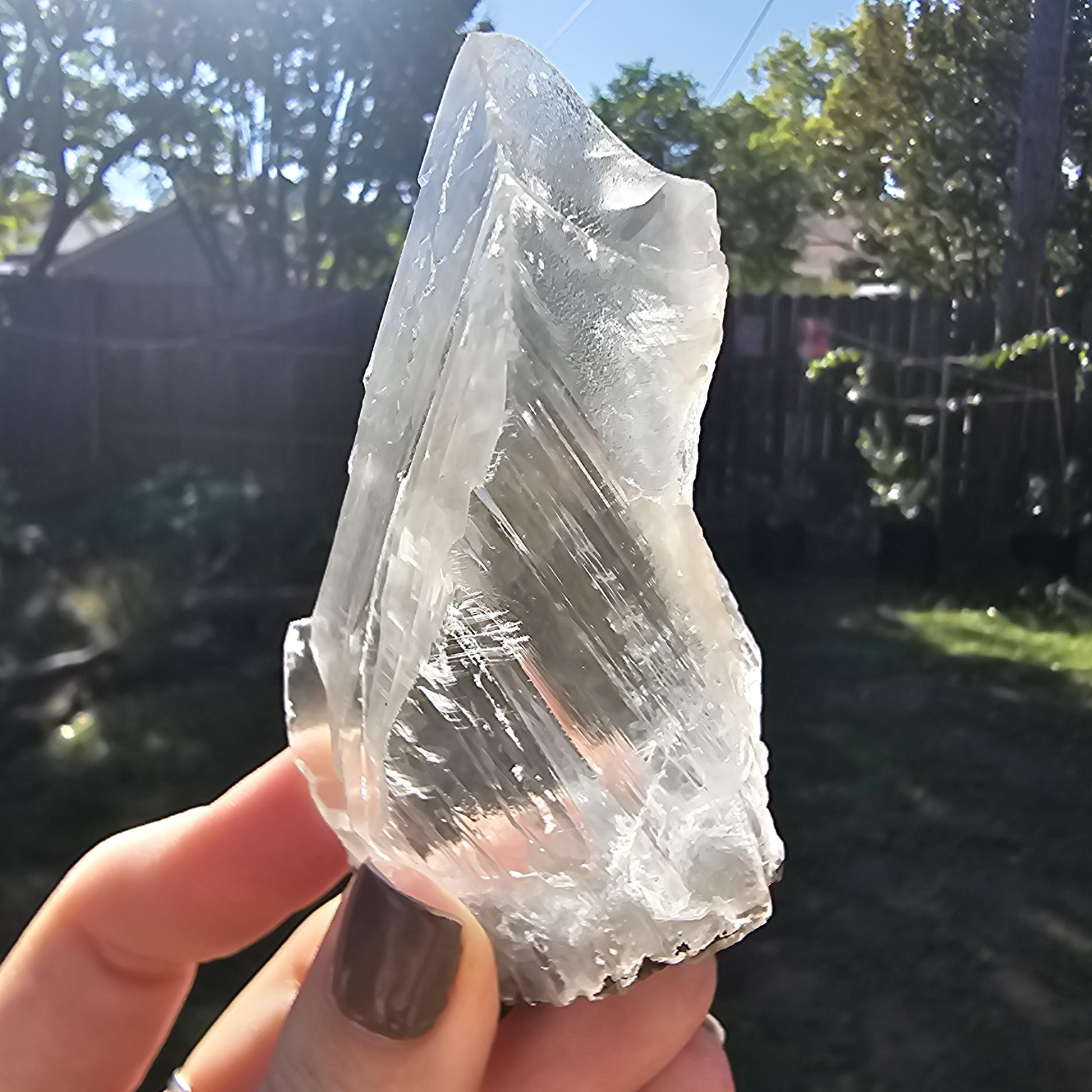 Terminated AAA Selenite Crystal from the Naica Mine in Mexico | Water Clear, Rare Collector Mineral Specimen, Self-standing, Raw & Untreated