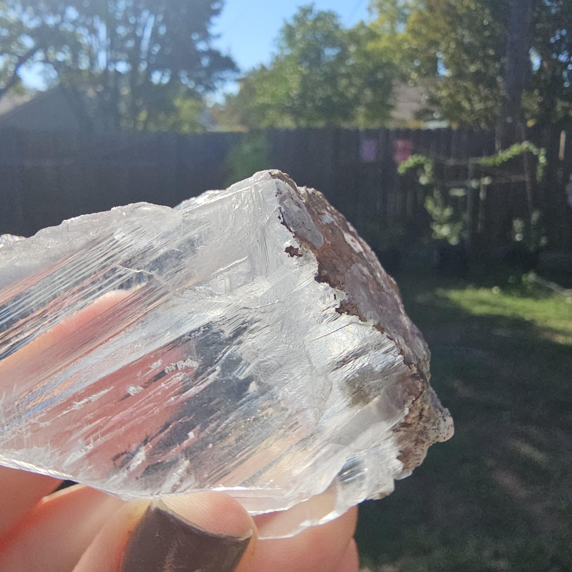 Terminated AAA Selenite Crystal from the Naica Mine in Mexico | Water Clear, Rare Collector Mineral Specimen, Self-standing, Raw & Untreated