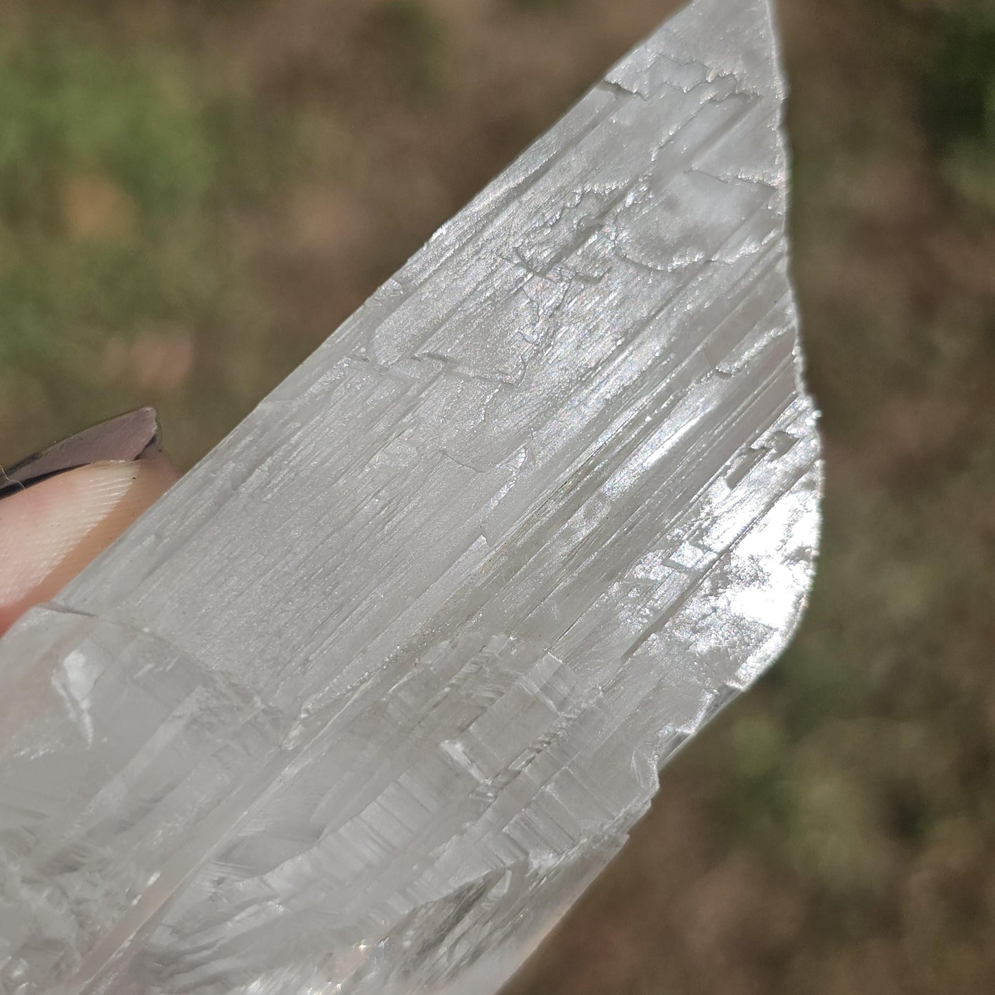 Terminated AAA Selenite Crystal from the Naica Mine in Mexico | Water Clear, Rare Collector Mineral Specimen, Self-standing, Raw & Untreated