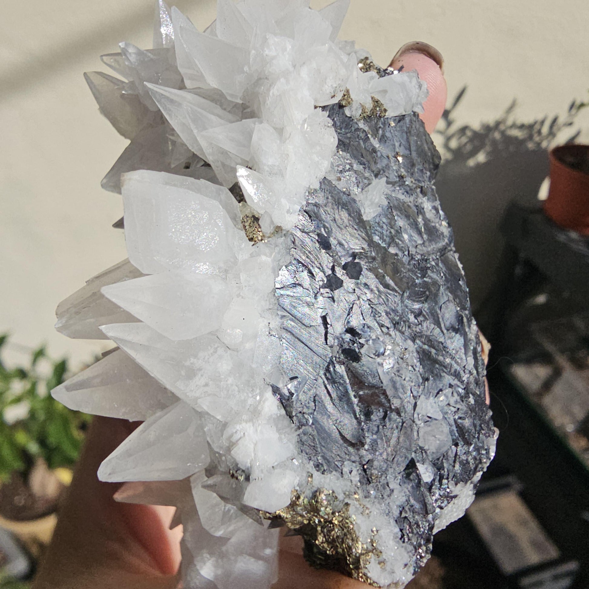 Snow White Calcite Specimen: Pyrite & Hematite Base, Chihuahua Mexico