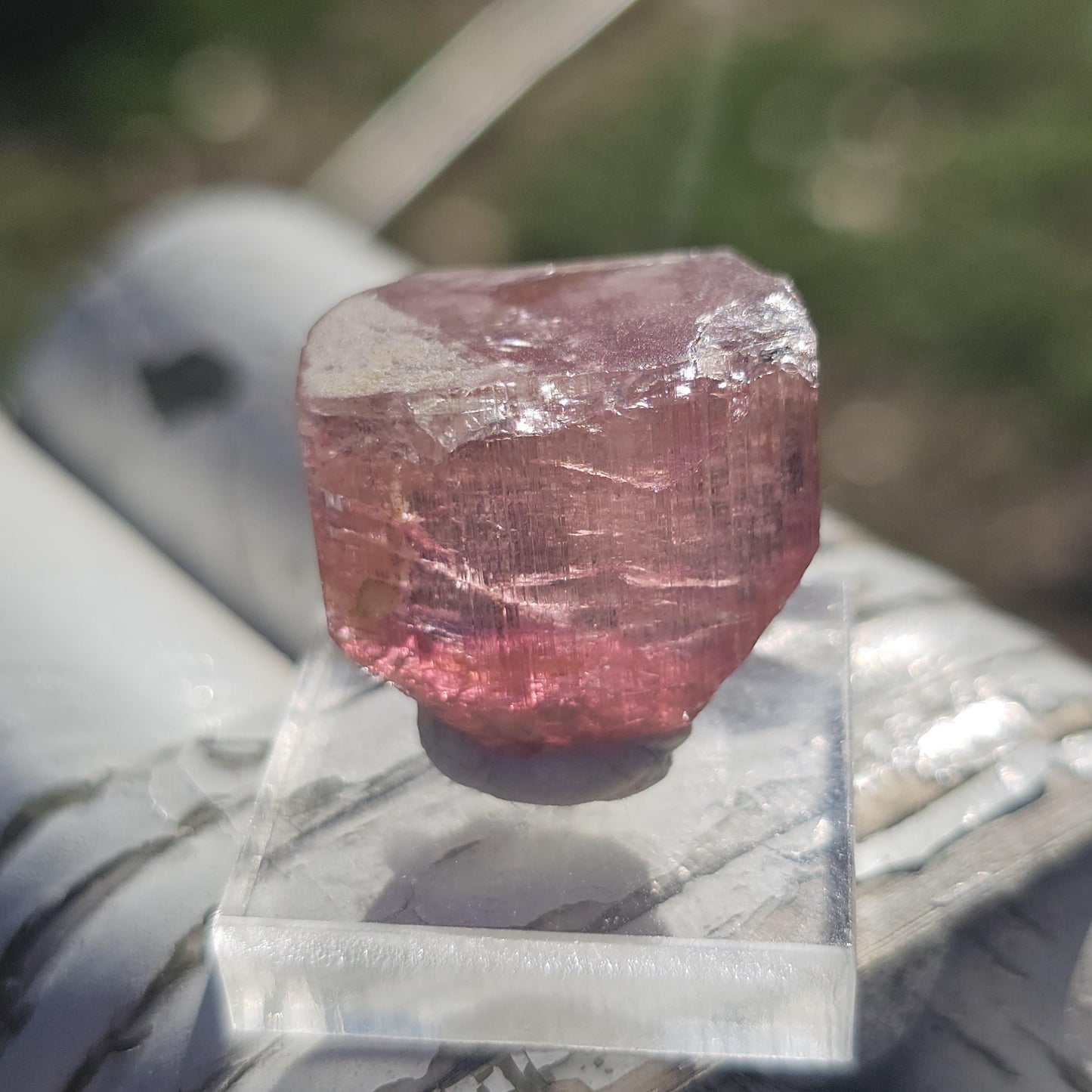 Pink Rubellite Tourmaline Crystal, Himalaya Mine, Oceanview San Diego