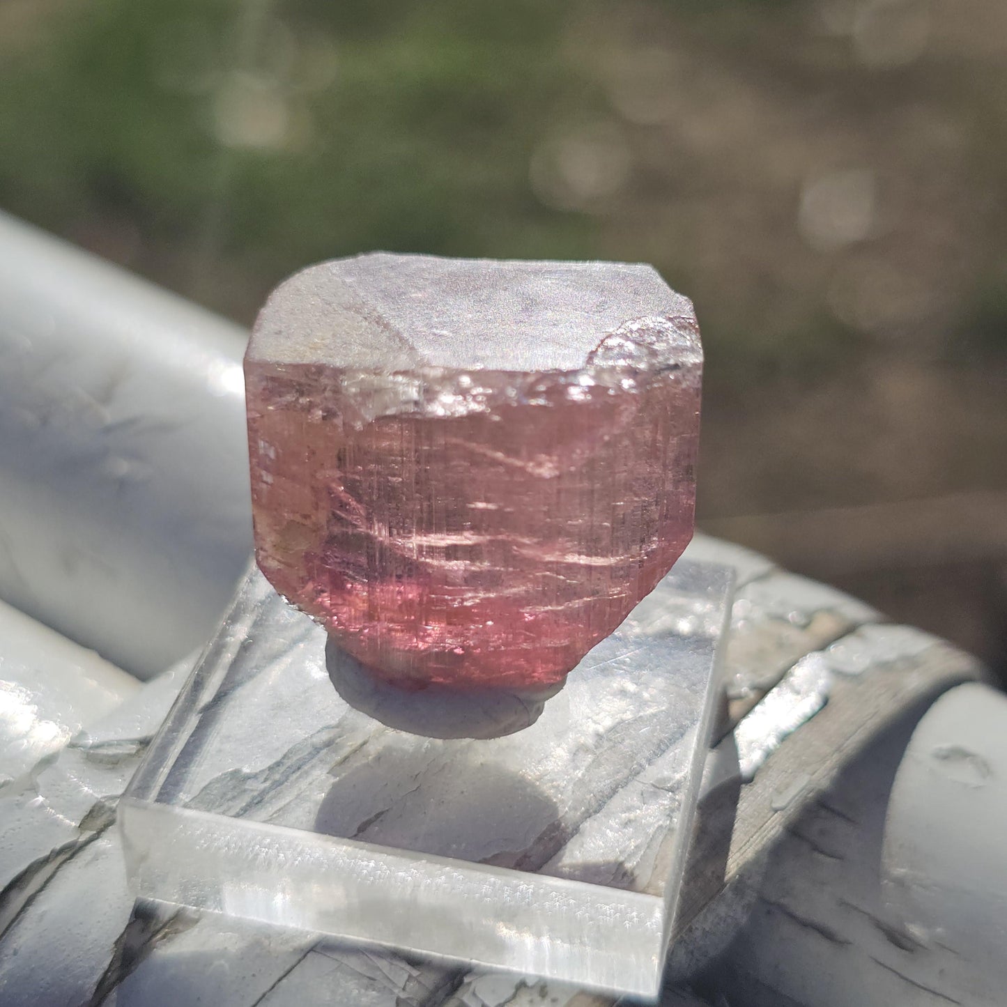 Pink Rubellite Tourmaline Crystal, Himalaya Mine, Oceanview San Diego
