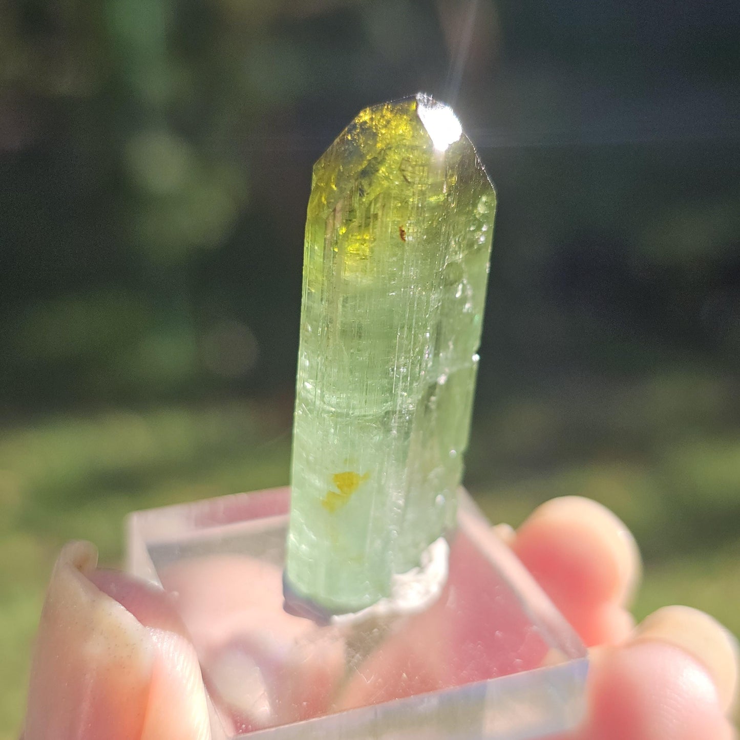 Fairy Castle Elbaite ~ Self-Standing DRC Teal Blue w Green Cap, Rare Raw Tourmaline Collector Specimen w Pointed Termination