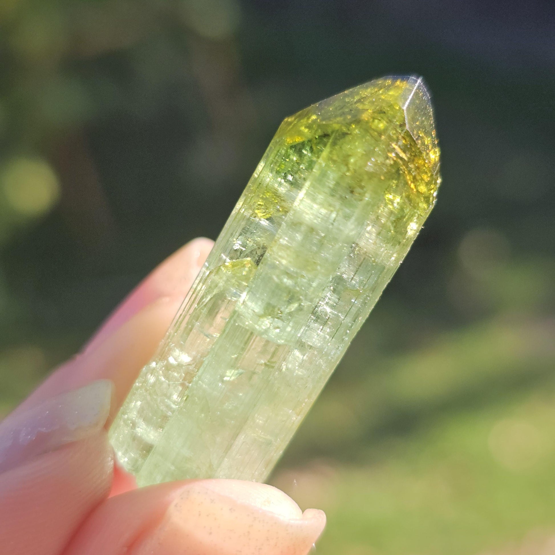 Fairy Castle Elbaite ~ Self-Standing DRC Teal Blue w Green Cap, Rare Raw Tourmaline Collector Specimen w Pointed Termination