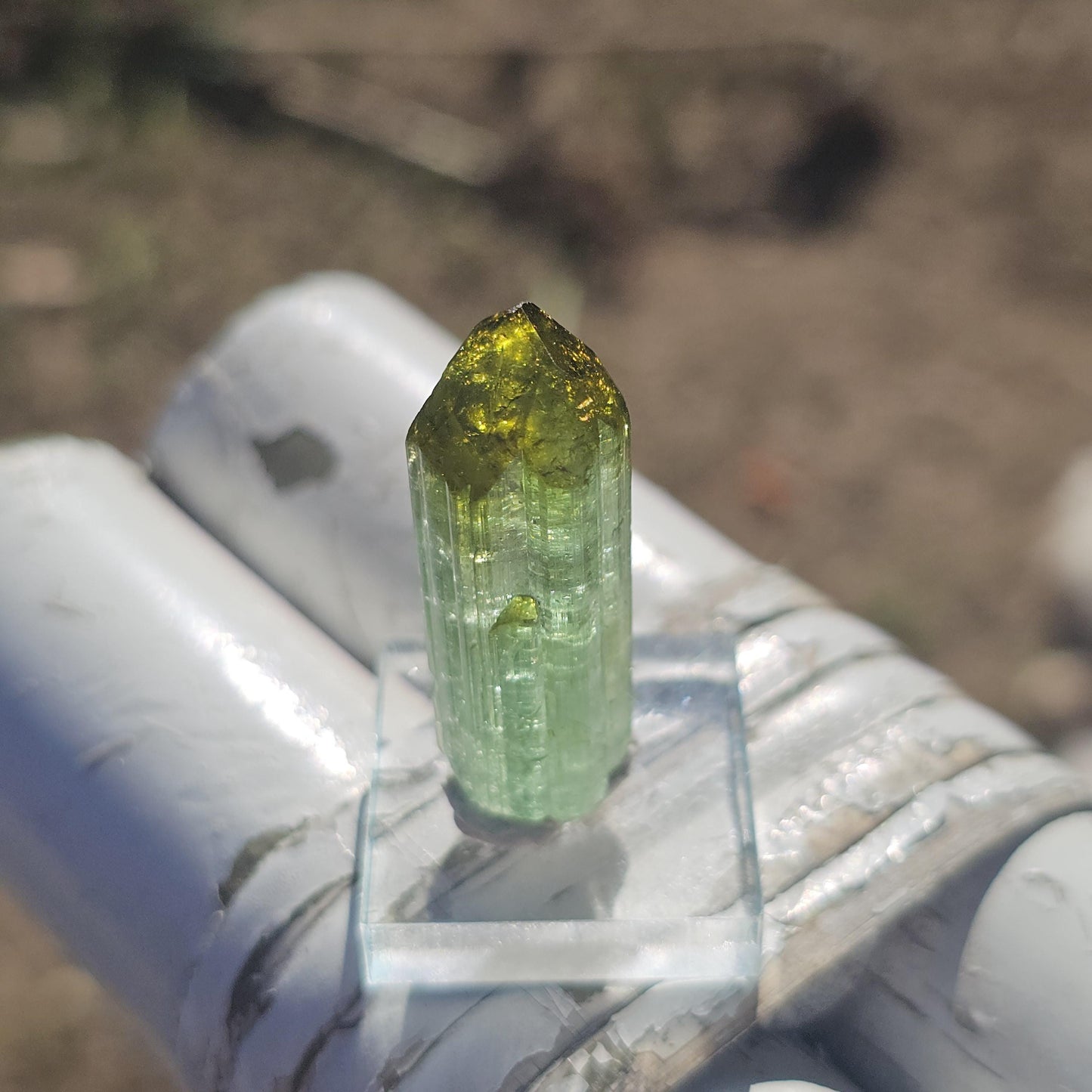 Fairy Castle Elbaite ~ Self-Standing DRC Teal Blue w Green Cap, Rare Raw Tourmaline Collector Specimen w Pointed Termination