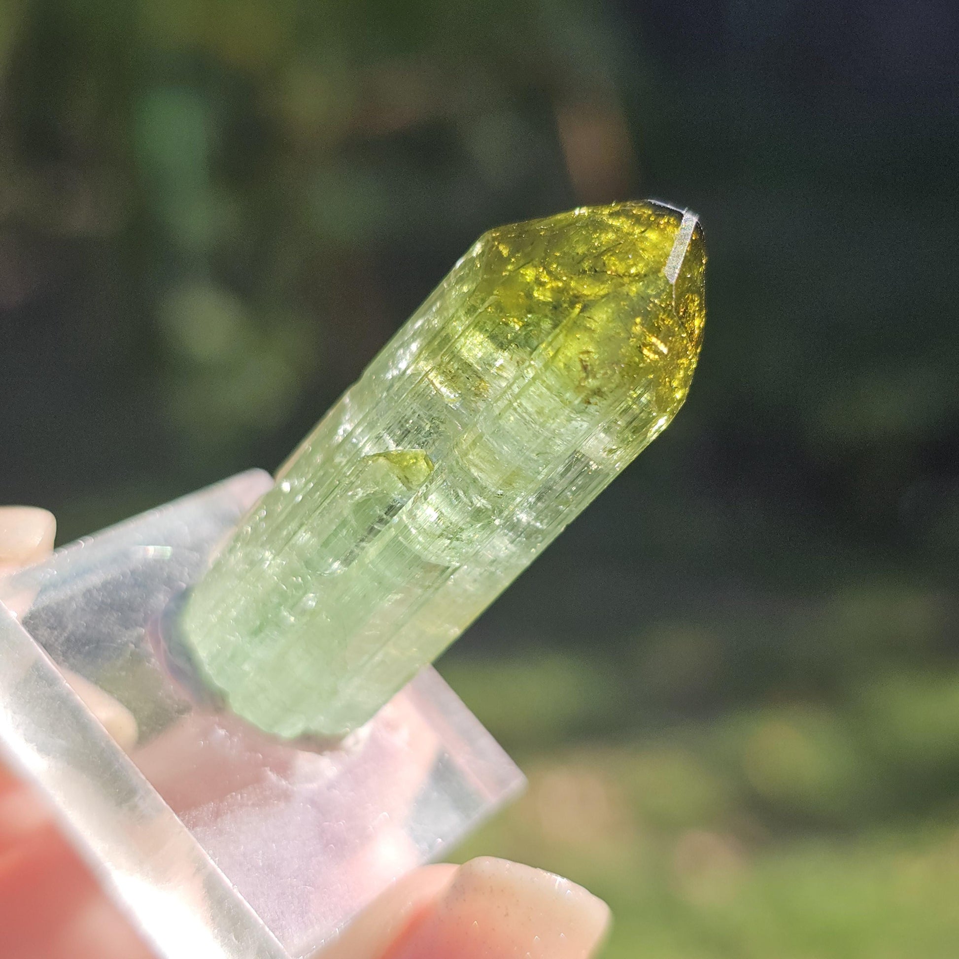 Fairy Castle Elbaite ~ Self-Standing DRC Teal Blue w Green Cap, Rare Raw Tourmaline Collector Specimen w Pointed Termination