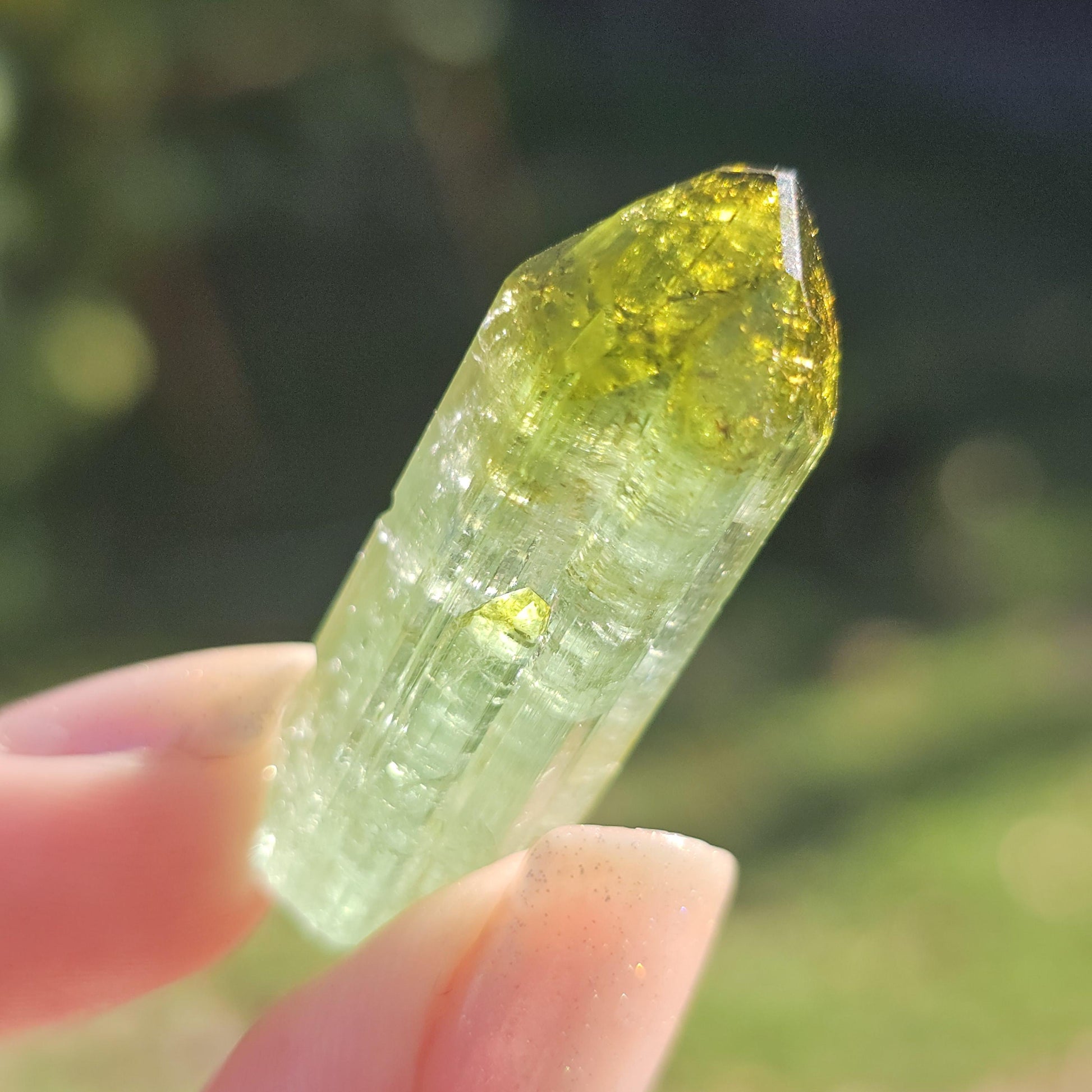 Fairy Castle Elbaite ~ Self-Standing DRC Teal Blue w Green Cap, Rare Raw Tourmaline Collector Specimen w Pointed Termination