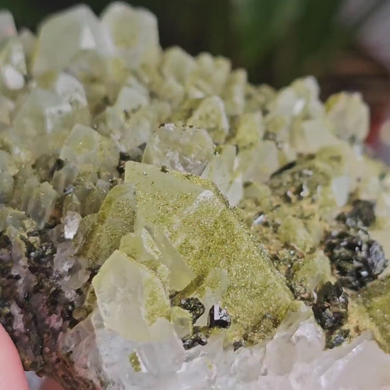 Epidote on Phantom Quartz, Chlorite or Fuschite Included New Find Combo Specimen