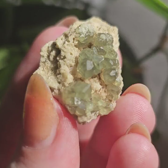 Demantoid Garnets on Matrix (Madagascar Andradite) <100