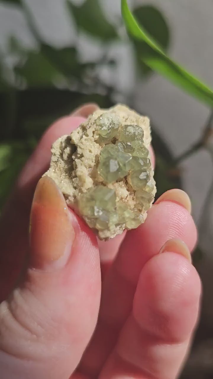 Demantoid Garnets on Matrix (Madagascar Andradite) <100