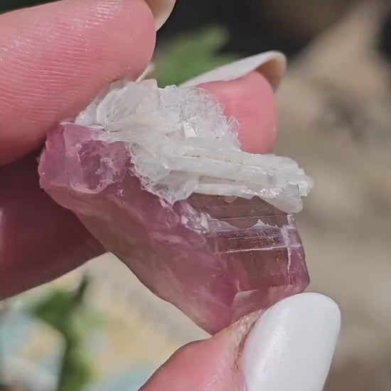 Juicy Pink and Green Tourmaline from the California Himalaya Mine w Lustrous White Cleavandite, Source Traced 90s Material