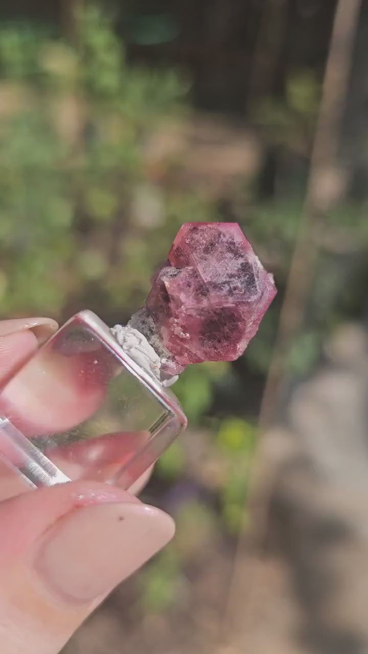 Rare Raspberry Garnet Crystal: Sierra de Cruces, Mexico