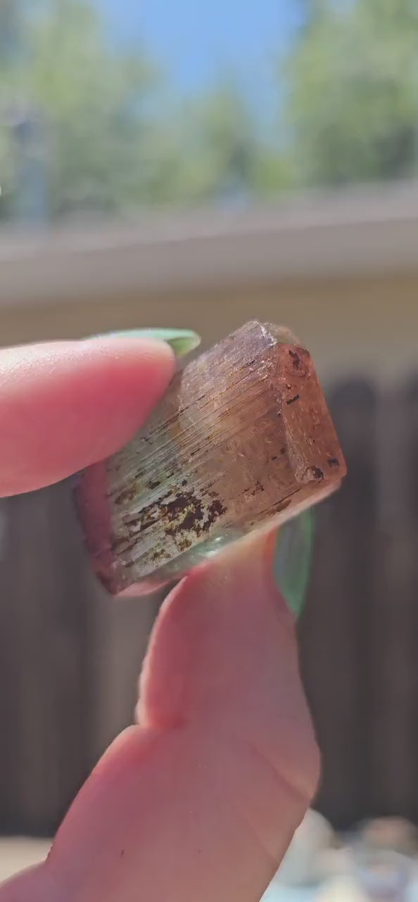 RESERVED Tourmaline Crystal, Double Terminated, 18.2g, Tricolor Gemstone, Uncleaned, Blue Purple and Orange Pink, Rare Colors, High End