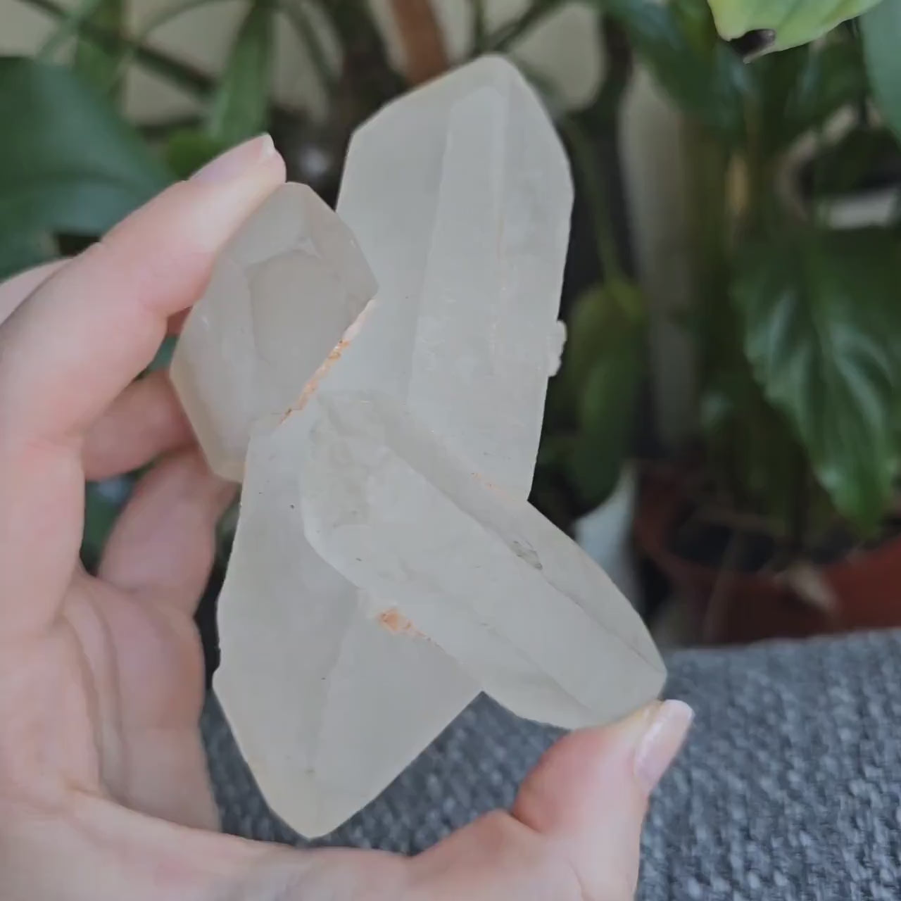 Triplet Lemurian Quartz Crystal Cluster ~ 3 Double Terminated Points in 1!