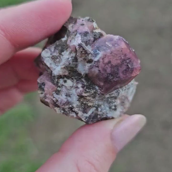 Raspberry Garnet on Matrix from Coahuila, Mexico, New Find 2024 <100