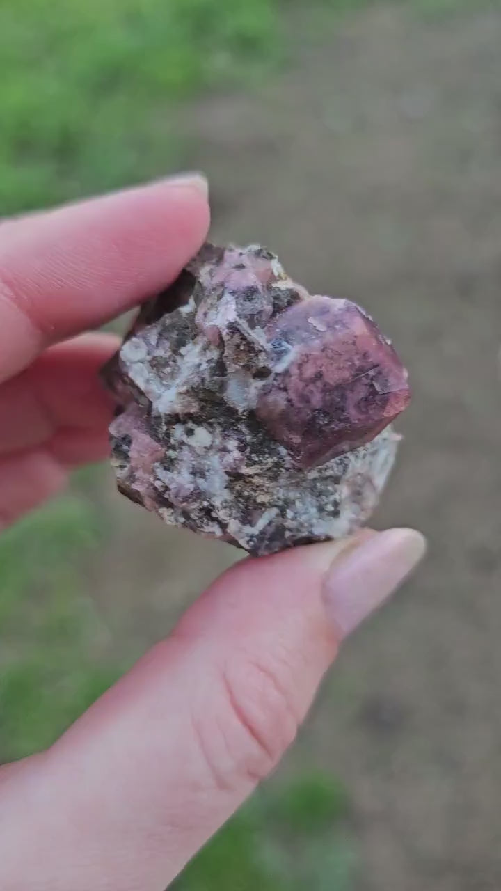 Raspberry Garnet on Matrix from Coahuila, Mexico, New Find 2024 <100