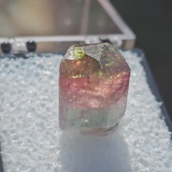 Colorful 3.9g Tourmaline Crystal from Aricanga, Brazil with Triangle Termination, Thumbnail Size in Perky Box