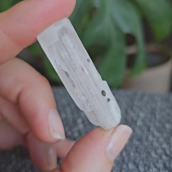 Danburite with Pyrite Inclusion | Rare Raw Crystal <100