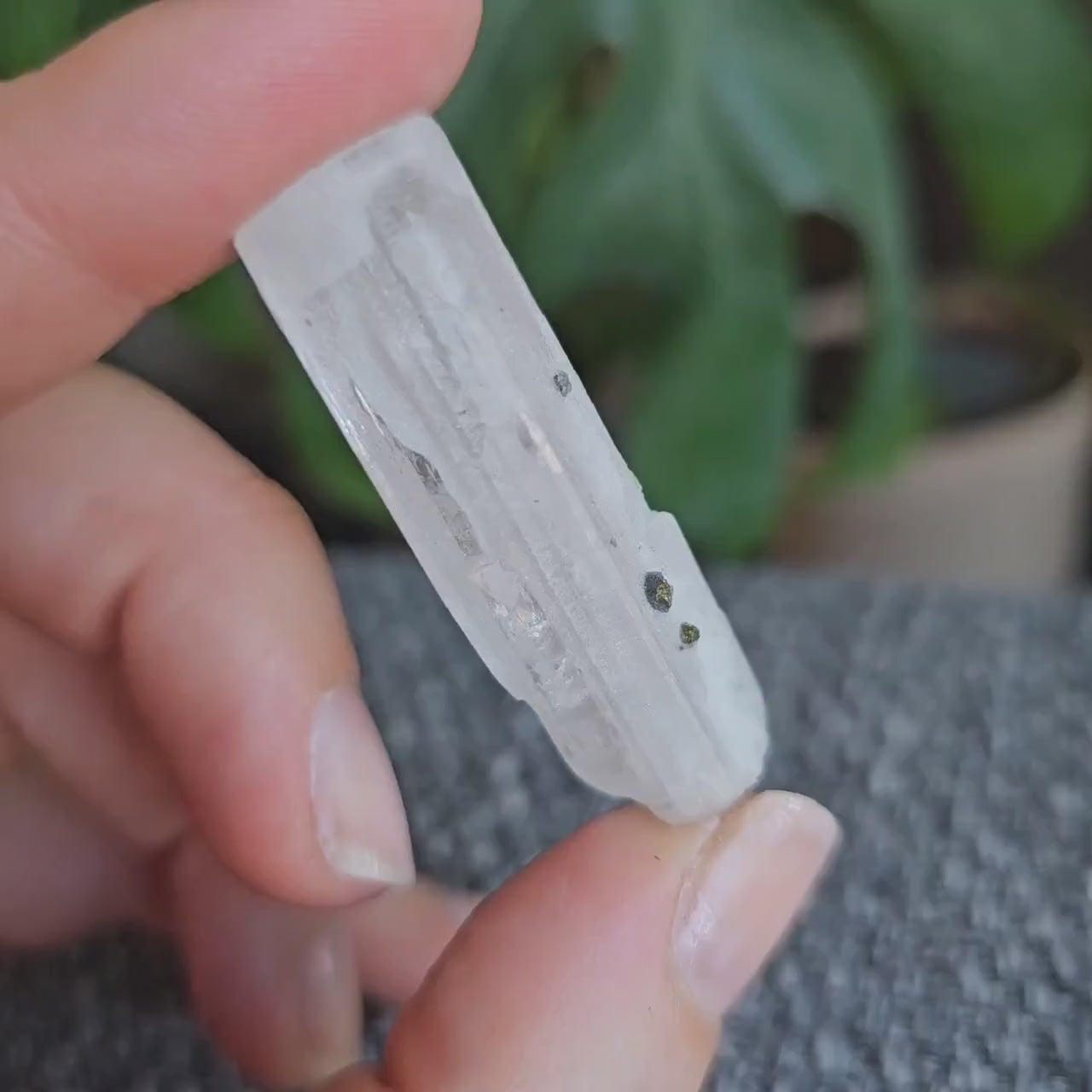 Danburite with Pyrite Inclusion | Rare Raw Crystal <100