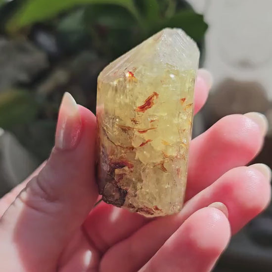 71g Golden Apatite from Durange Mexico, Raw XL Crystal, Yellow Apatite with Hematite, Lustrous Terminated and Twinned, Rough Rare Gemstone