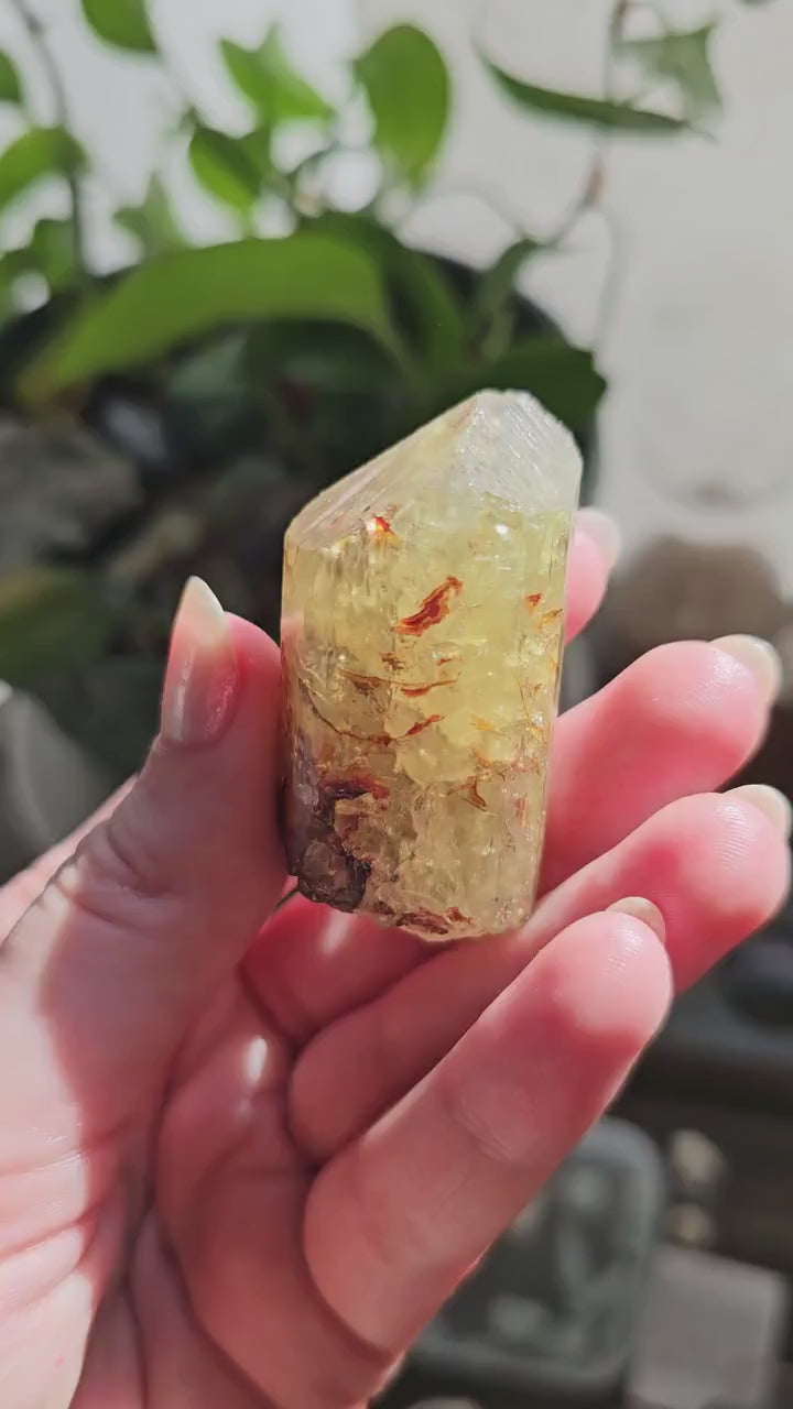 71g Golden Apatite from Durange Mexico, Raw XL Crystal, Yellow Apatite with Hematite, Lustrous Terminated and Twinned, Rough Rare Gemstone