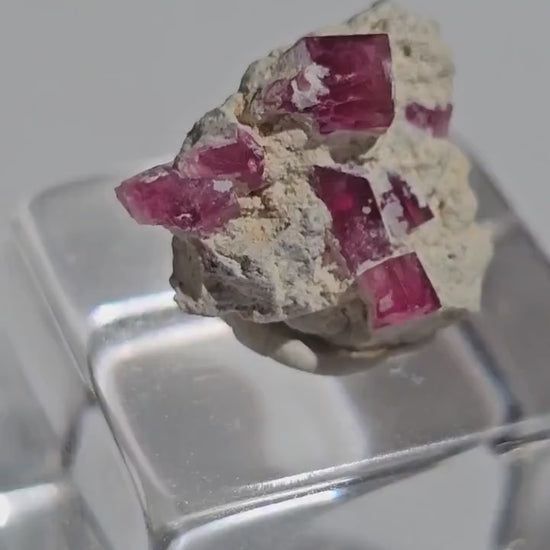 Hot Pink Red Beryl Crystals in Matrix/ Bixbite Specimen from Wah Wah Mtns, Utah