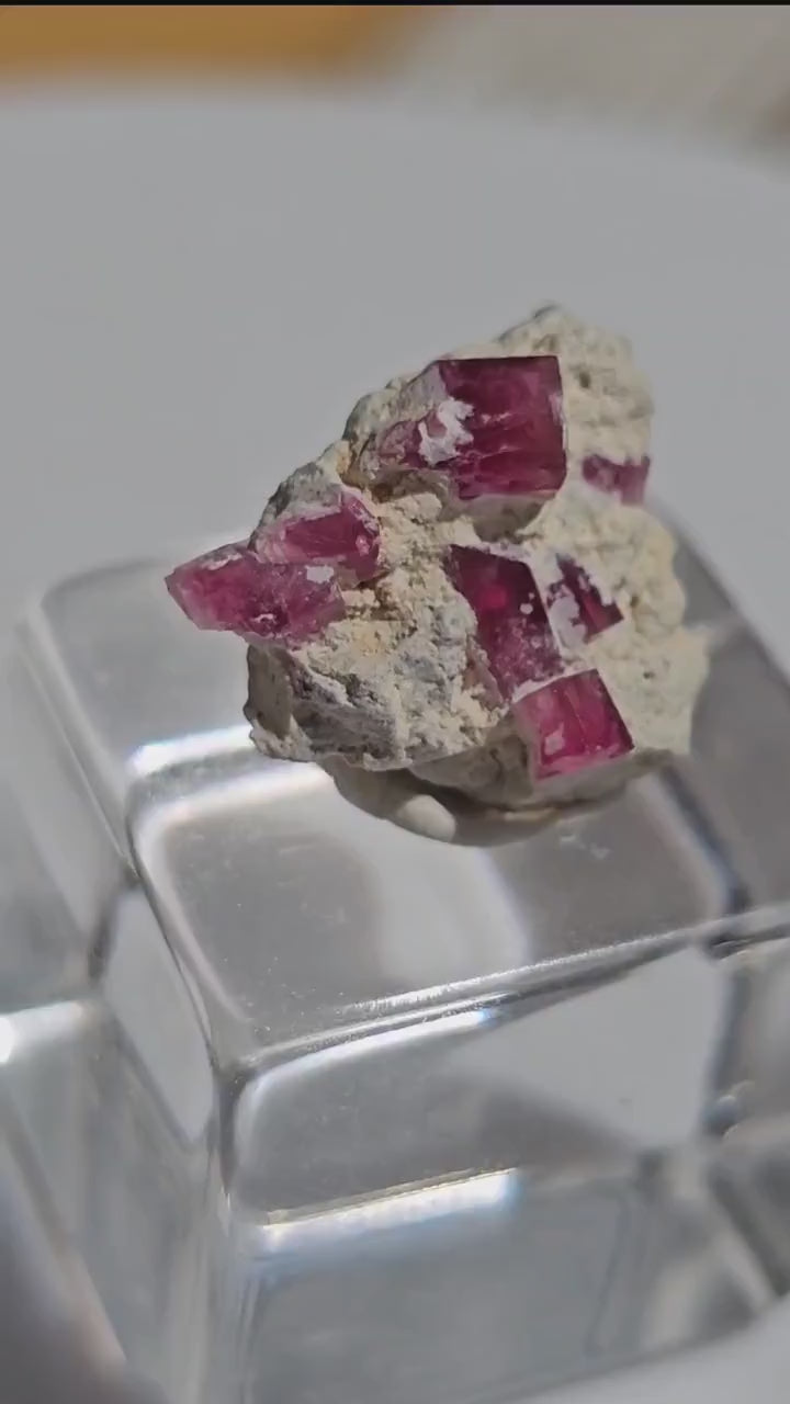 Hot Pink Red Beryl Crystals in Matrix/ Bixbite Specimen from Wah Wah Mtns, Utah