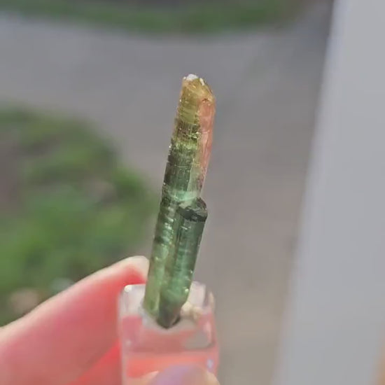 New Find Tourmaline var. Elbaite Twin Pencil Crystal, Taquaral Brazil 2022
