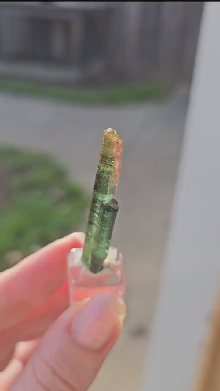 New Find Tourmaline var. Elbaite Twin Pencil Crystal, Taquaral Brazil 2022