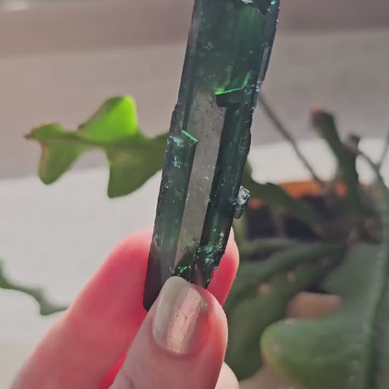 Vivianite Crystal, High Grade, Stunning Raw Gem, AAA Form and Color, Rare Rough Collector Crystal from Brazil, AAA Vivianite
