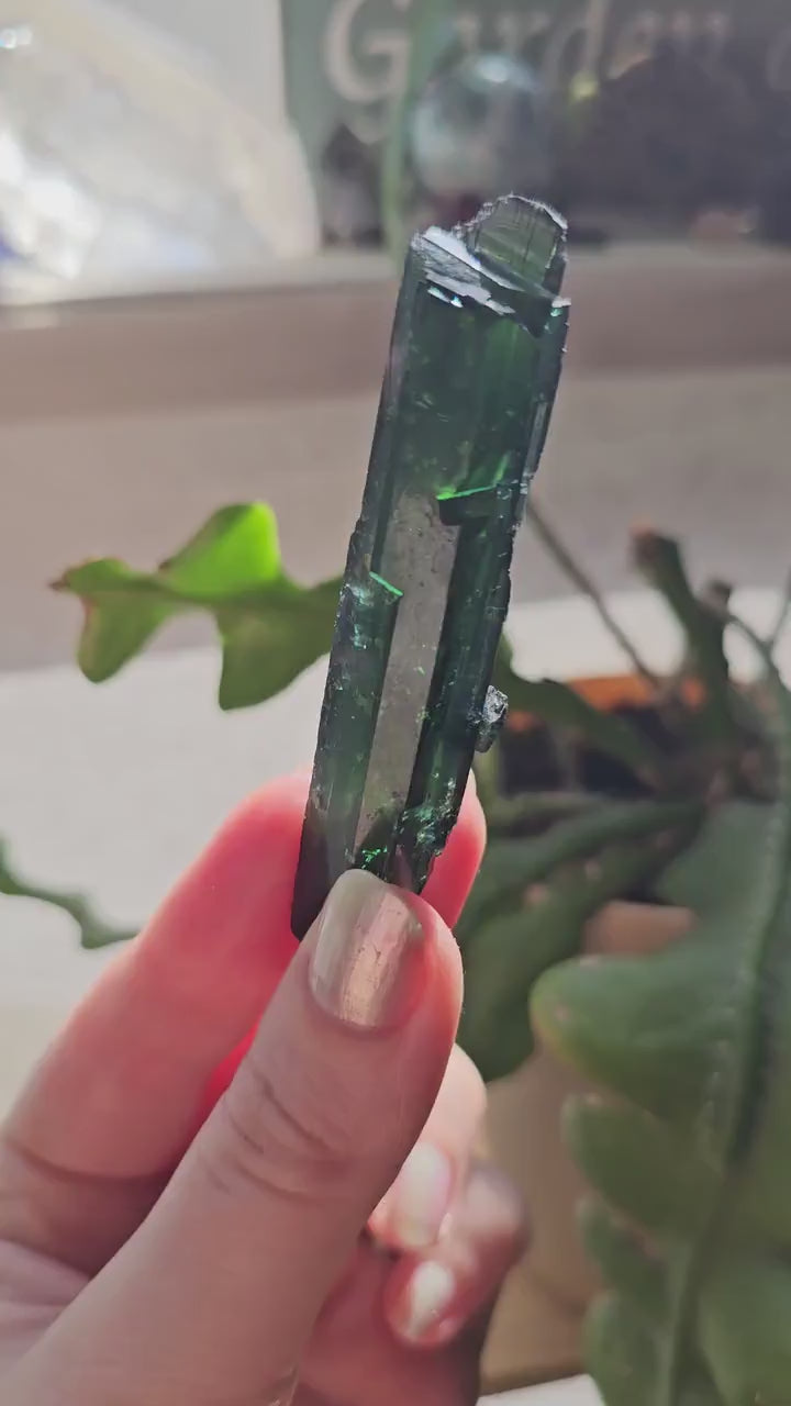 Vivianite Crystal, High Grade, Stunning Raw Gem, AAA Form and Color, Rare Rough Collector Crystal from Brazil, AAA Vivianite