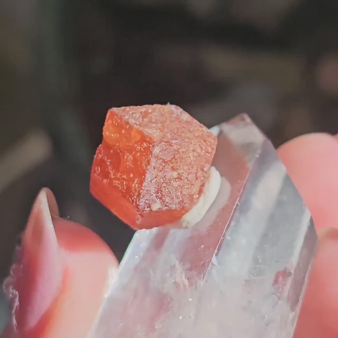 RARE Orange Garnet, 25ct Floater, Old Stock from Nigeria, Well Formed, Snakeskin Pattern, Rich Deep Color, Collector Spessartine, Gem Grade