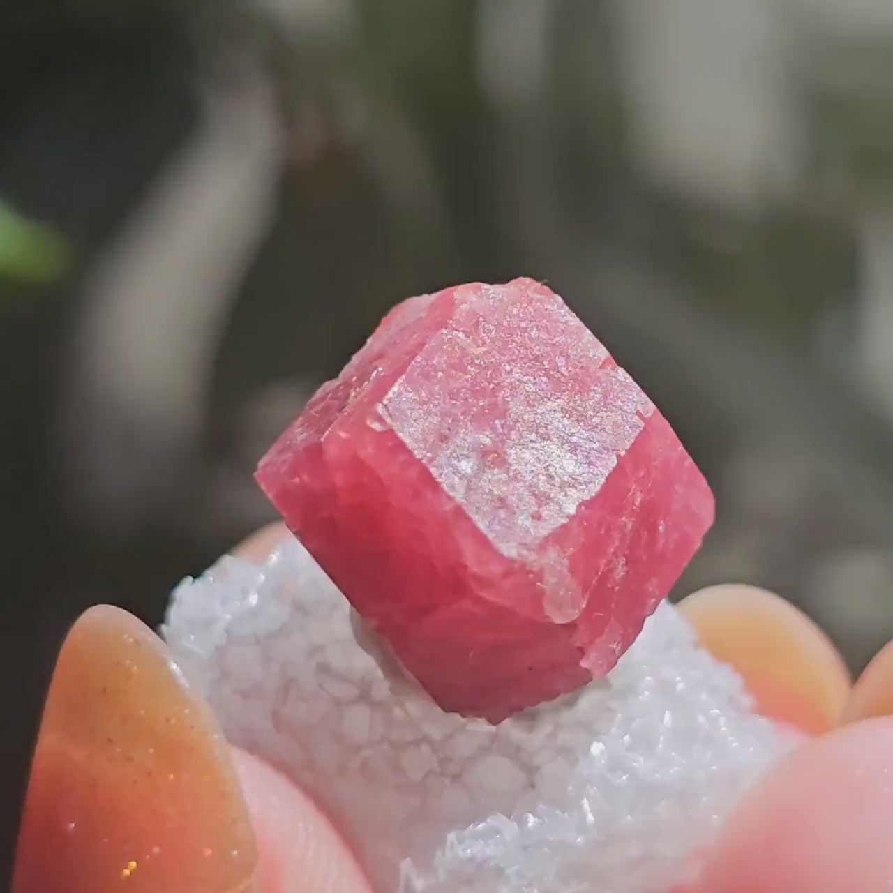 Raspberry Garnet Crystal 19ct | Raw Rare, No Matrix, Collector Rosolite Gemstone | Hot Pink Red Grossular, Sierra de Cruces, Coahuila Mexico